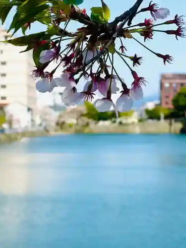 福井神社(福井県)