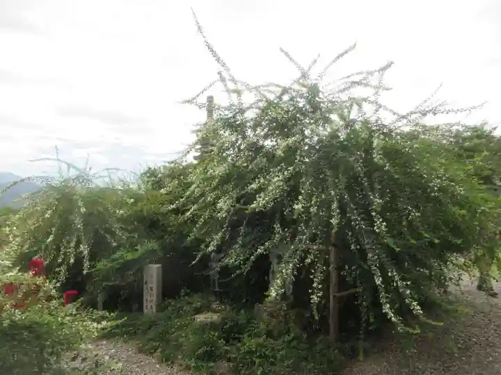 洞昌院(埼玉県)