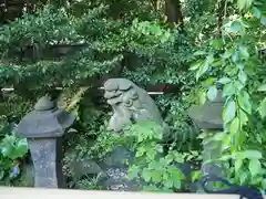 新田神社の狛犬