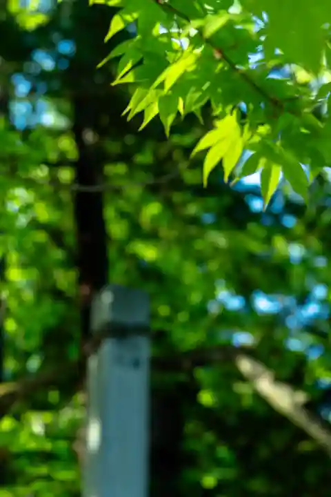 諏訪大社下社秋宮(長野県)