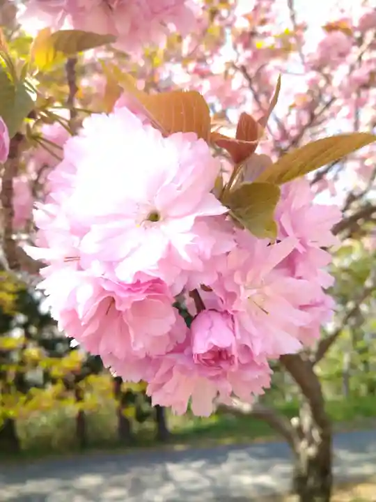 牛窓神社(岡山県)