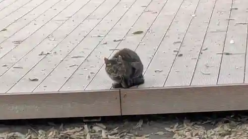 村雲御所瑞龍寺門跡(滋賀県)