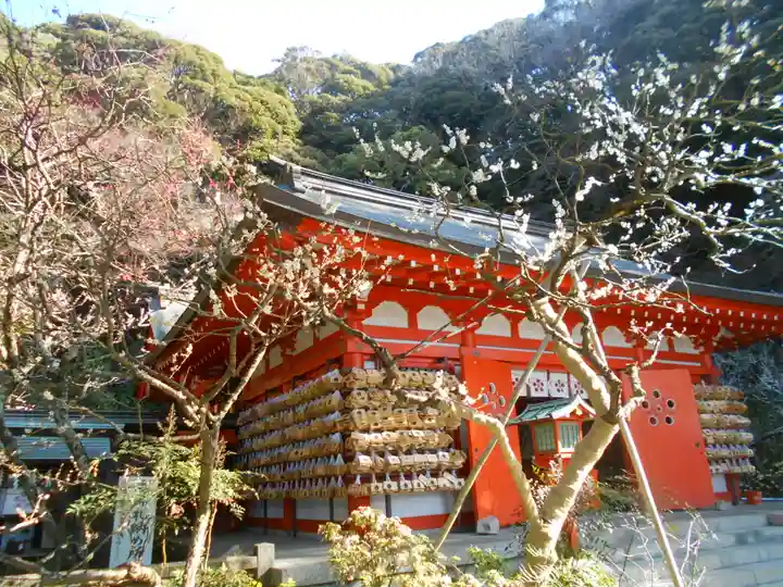 荏柄天神社の自然