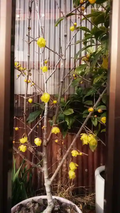 神明社(国府宮神明社)の周辺