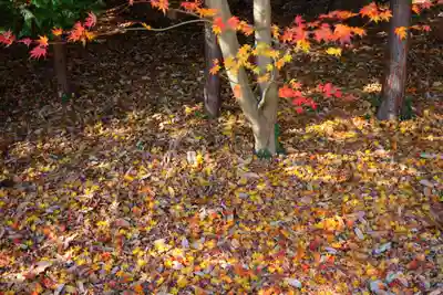 滑川神社 - 仕事と子どもの守り神の景色