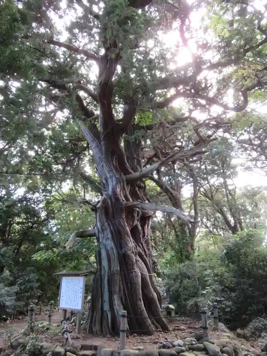 大瀬神社(静岡県)