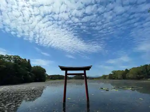 薦神社の鳥居