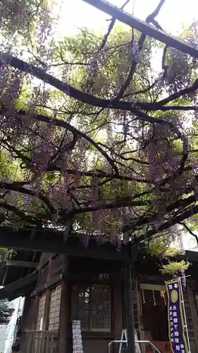 國領神社の庭園