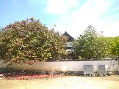 圀勝寺のその他建物