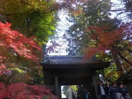 円覚寺の山門