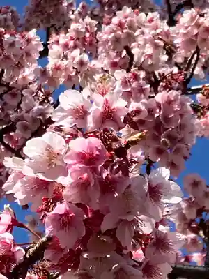 來宮神社(静岡県)