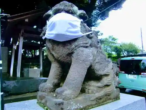 金ヶ作熊野神社の狛犬