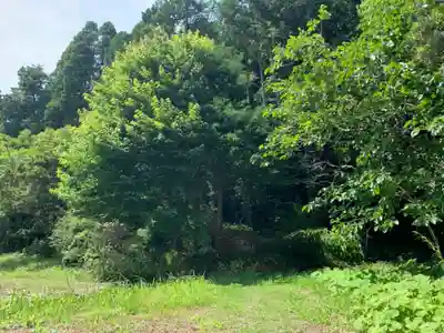 浅間神社の自然