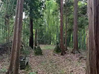 日枝神社の自然