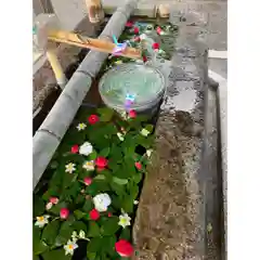 犀川神社の手水