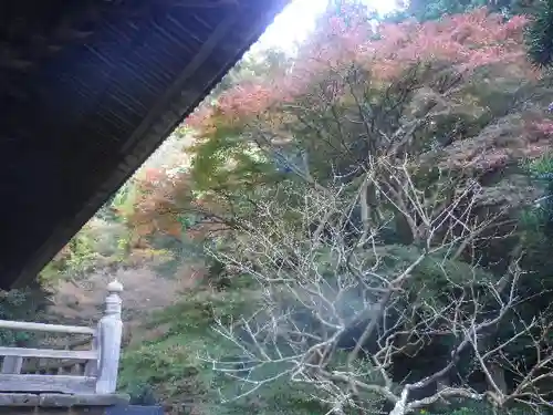 妙本寺(神奈川県)