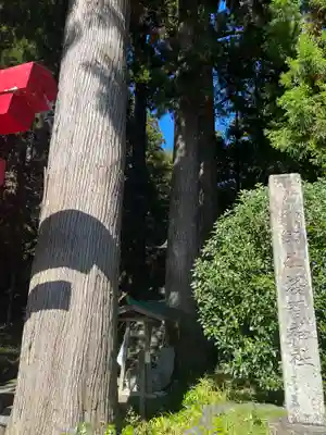 須山浅間神社(静岡県)