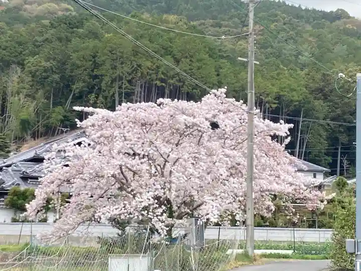 八阪神社(大阪府)