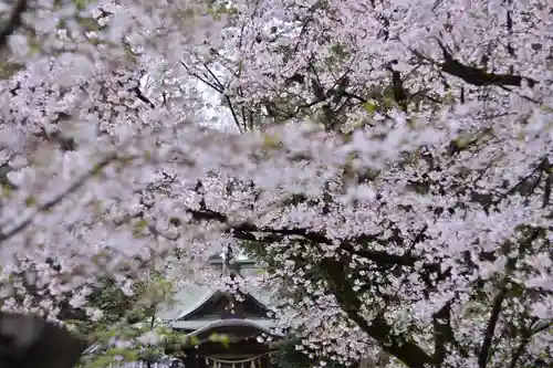 岩槻久伊豆神社(埼玉県)