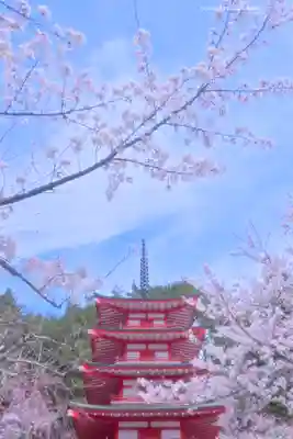新倉富士浅間神社(山梨県)