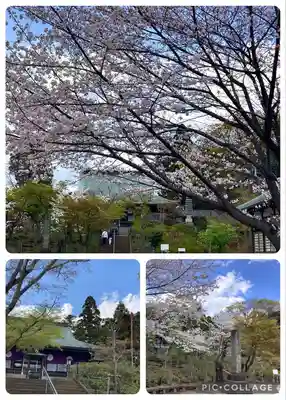 本土寺(千葉県)