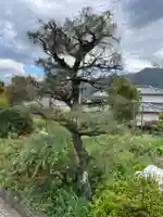 蓮華寺(兵庫県)