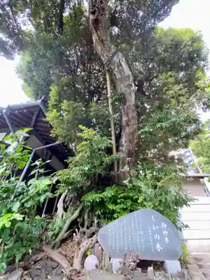 日枝神社(静岡県)