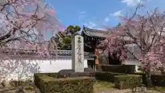 妙顯寺（妙顕寺）(京都府)