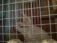 鶴林寺(徳島県)