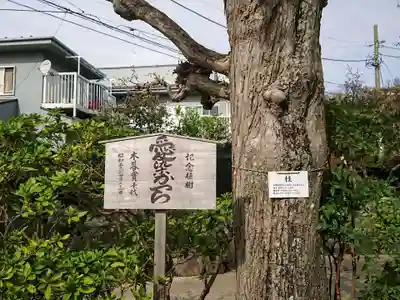 密蔵寺のその他建物