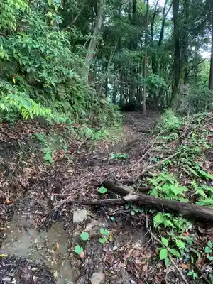 琴平神社(千葉県)