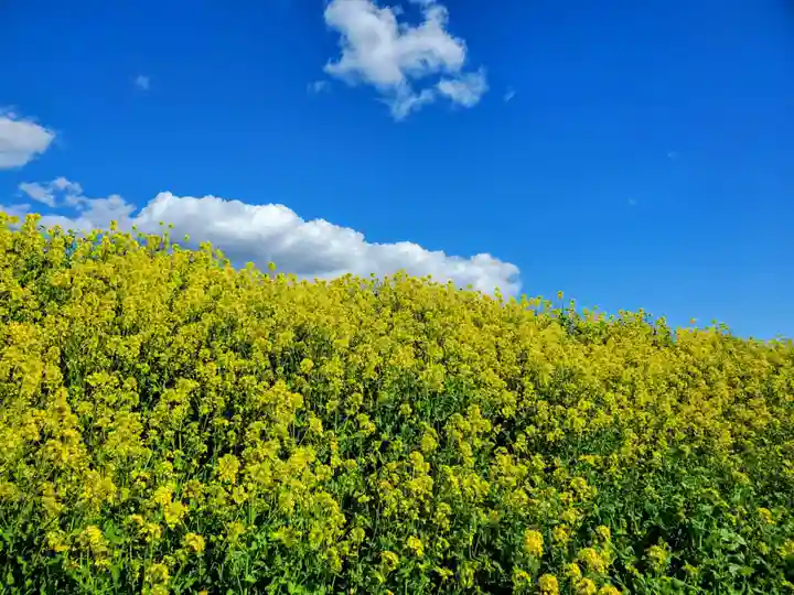 網戸神社(栃木県)
