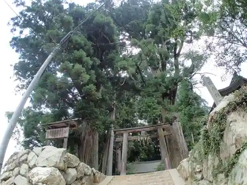 劔主神社の鳥居