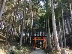 氷室神社の建物その他