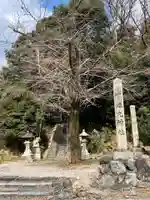 蟬丸神社(蝉丸神社)の自然