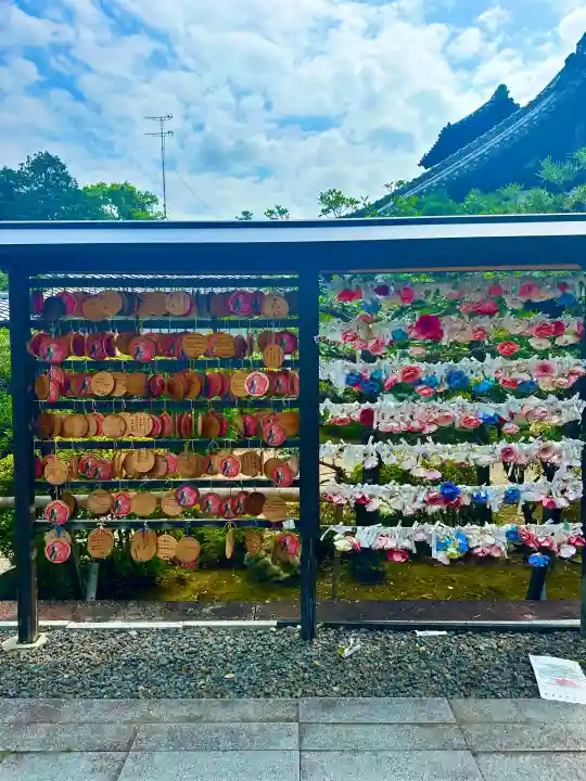 隨心院(随心院)(京都府)