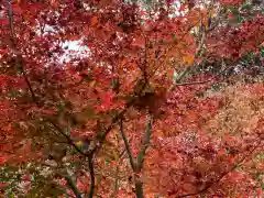 武雄神社の自然