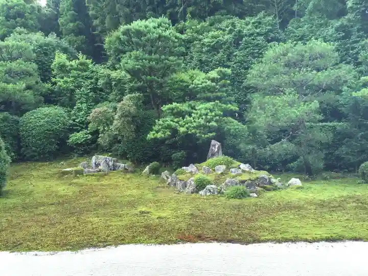 芬陀院の庭園