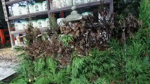 賀茂御祖神社（下鴨神社）(京都府)