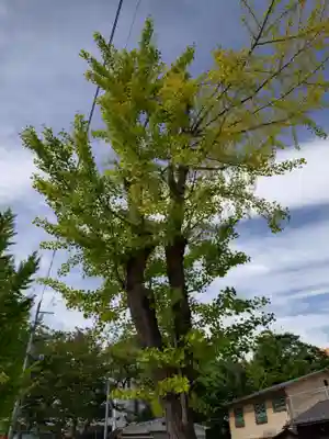 阿邪訶根神社(福島県)