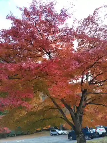 三峯神社の自然