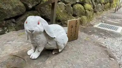 日光二荒山神社(栃木県)