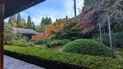 雲龍院(京都府)