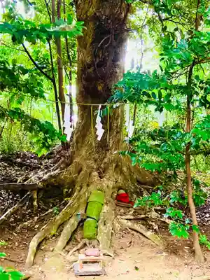 成田熊野神社(千葉県)