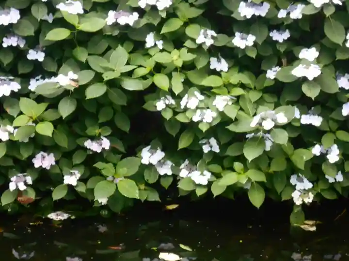 蛇苦止明神(蛇苦止堂)の自然