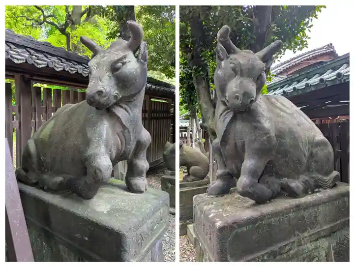 牛嶋神社の狛犬