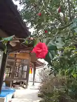 石内のお大師さん 金剛院(広島県)