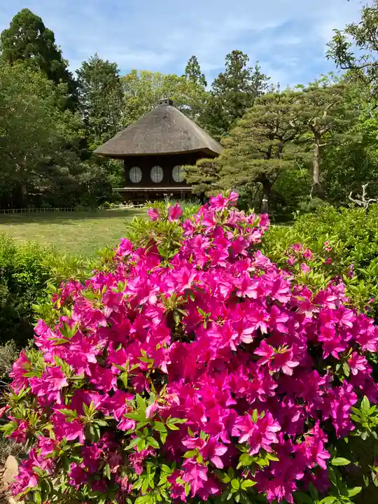 春日大社(奈良県)
