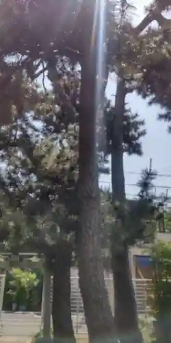 八幡神社(東京都)