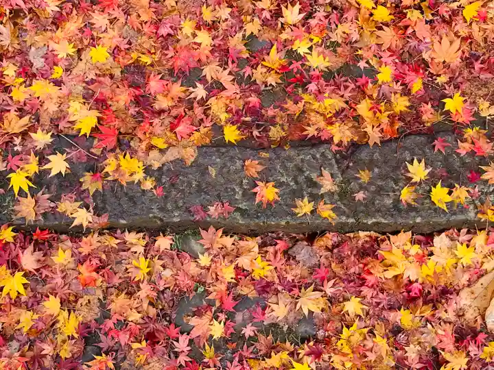 土津神社|こどもと出世の神さまの自然